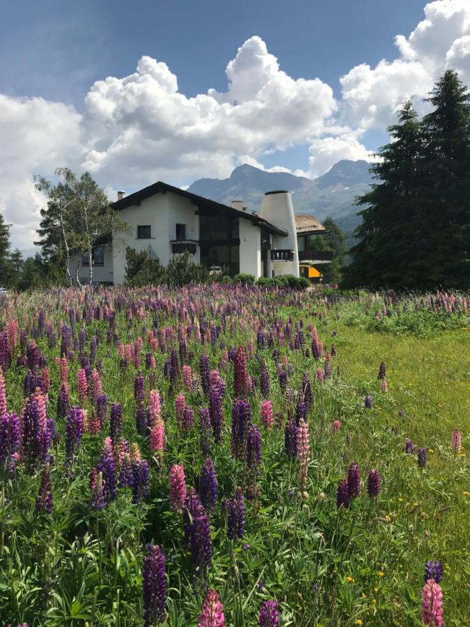 Ferienwohnung Chesa Suot Ovas Sils im Engadin Exterior foto