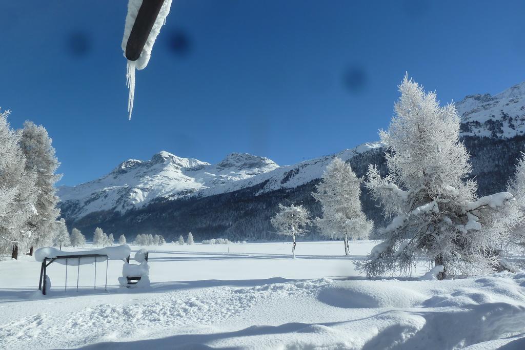 Ferienwohnung Chesa Suot Ovas Sils im Engadin Exterior foto