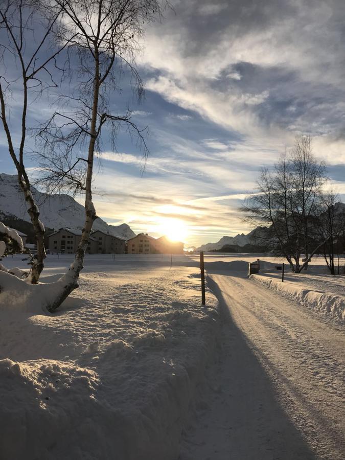 Ferienwohnung Chesa Suot Ovas Sils im Engadin Exterior foto