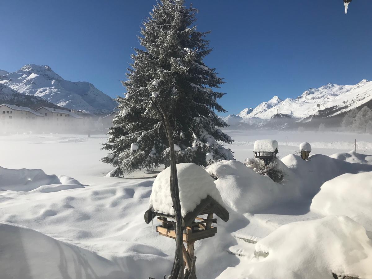 Ferienwohnung Chesa Suot Ovas Sils im Engadin Exterior foto